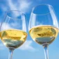 vino frizzante vs prosecco